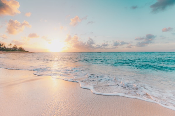 Bondi beach coastline sunrise